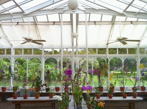 garden walk hawaii