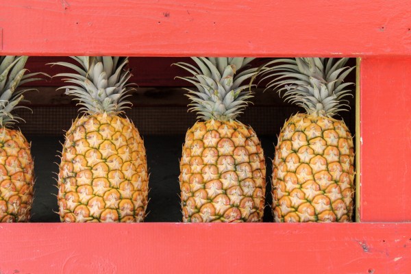 pineapples