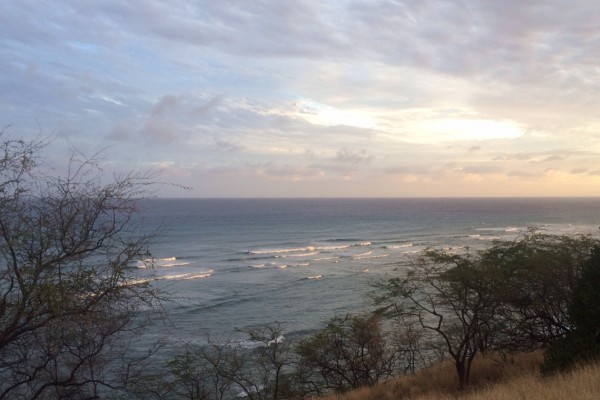 Hawaii Lei Culture