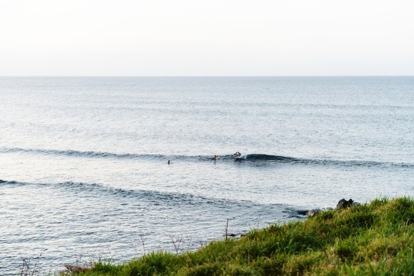 Paia_surf Lei