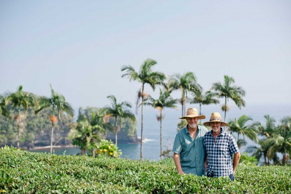 onomea tea lei hawaii