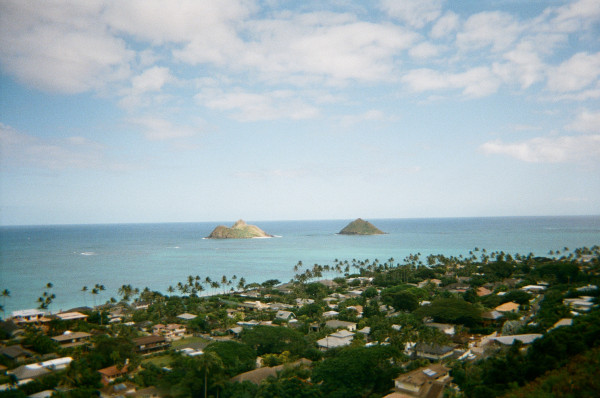 Lei Film by Bubble_T and Papi Juice