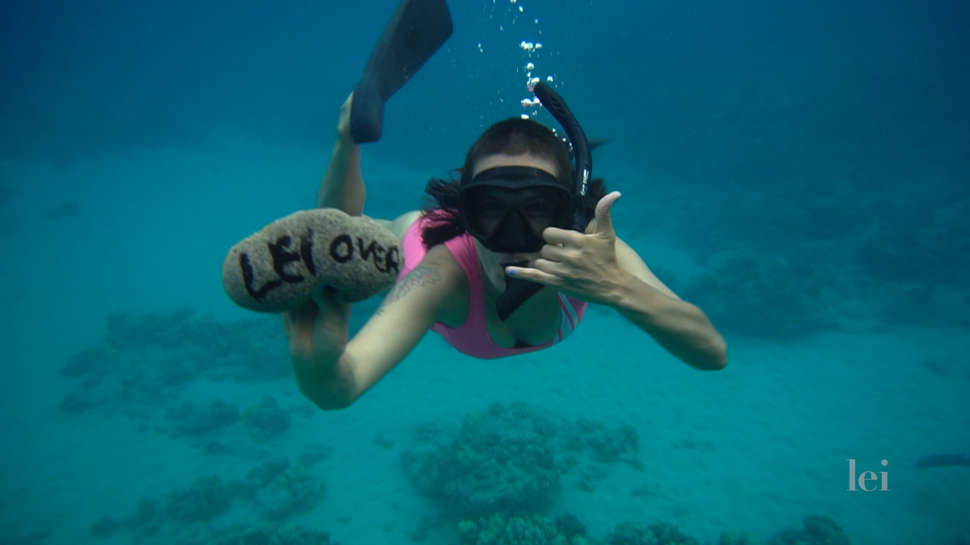 Kim Ann Foxman Snorkeling